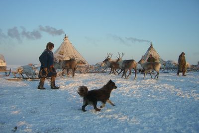 Nenets